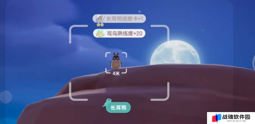 心动小镇观鸟位置攻略大全