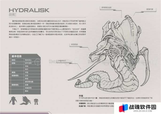 星际争霸2兵种图鉴大全图二